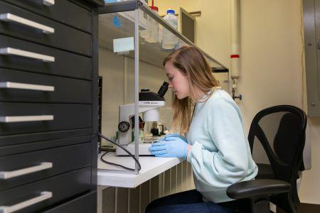 Early-career scientist awarded fellowship to study the heritage of meteorites